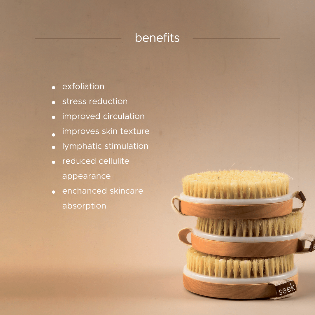 best dry brush for beginners